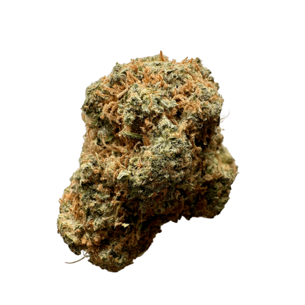 IMG_2793-removebg-min-1-600x600