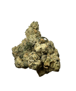 Sativa