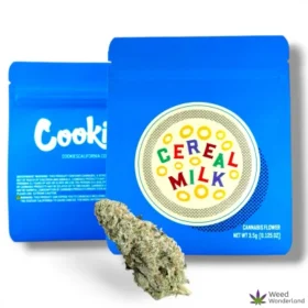 Cereal Milk